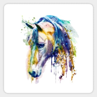 Horse Head watercolor Magnet